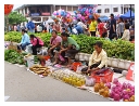 slides/fetes0.JPG  Qu'est-ce qu'on ne trouve pas au marché le jour du Lolat !